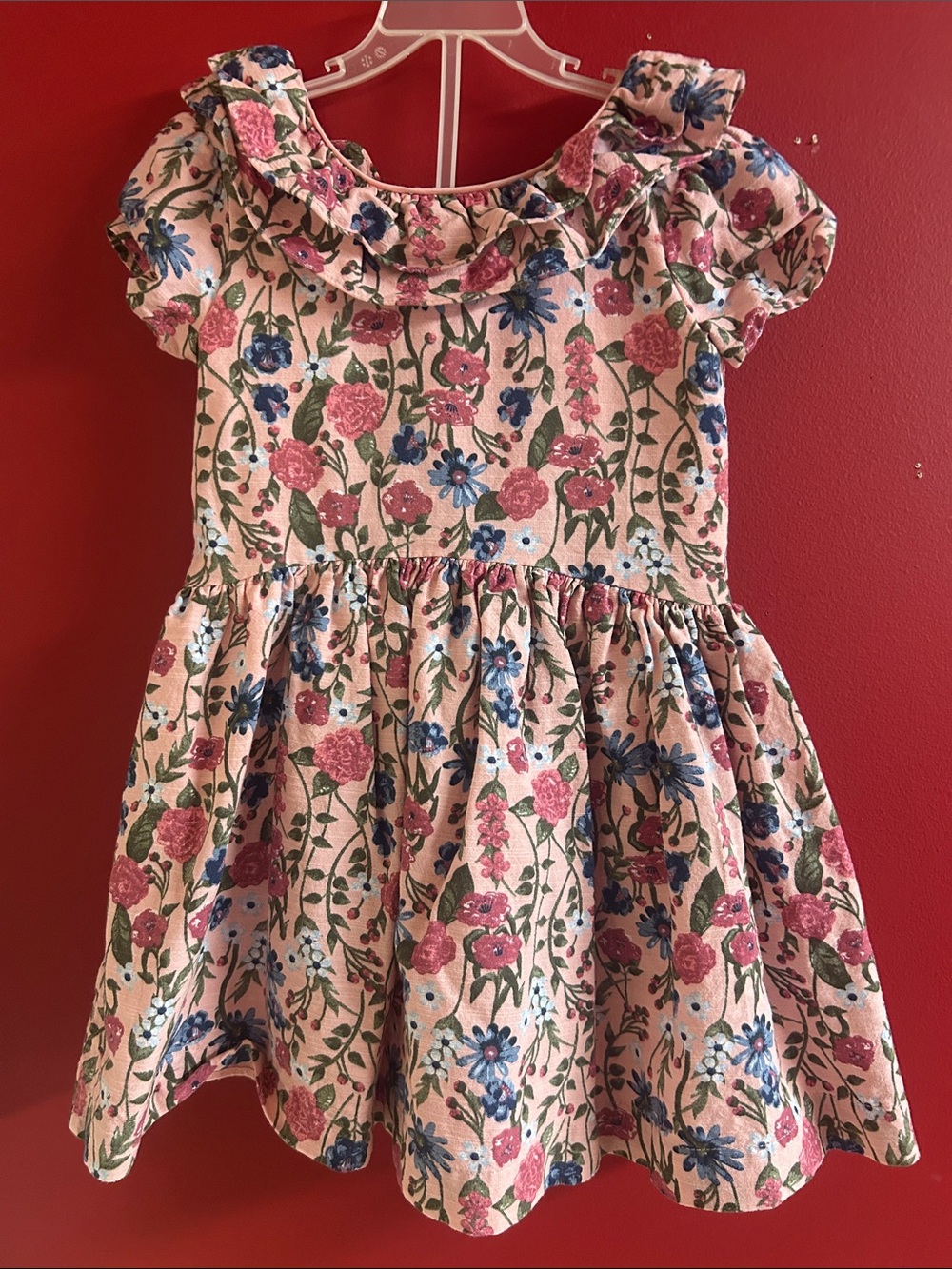 Scotch & Soda Pink Floral Ruffle Neck Dress with Blue Accents size 4-5